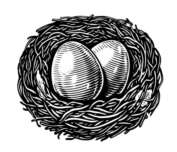 鸟巢中的蛋在白色背景上被隔离 手绘素描素描 雕刻风格画图 — 图库照片