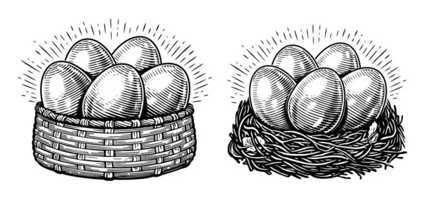Ескіз Курячих Яєць Набір Органічної Їжі Ферми Стиль Гравюри Намальований — стокове фото