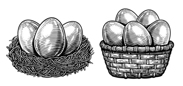 Eier Vom Bauernhof Hühnchen Bio Lebensmittel Handgezeichnete Zeichnungsskizze — Stockfoto