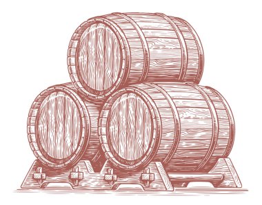 Alkollü içecekler için üç meşe fıçısı. Tahta fıçılar, fıçılar ve şarap. El çizimi çizimi vektör illüstrasyonu