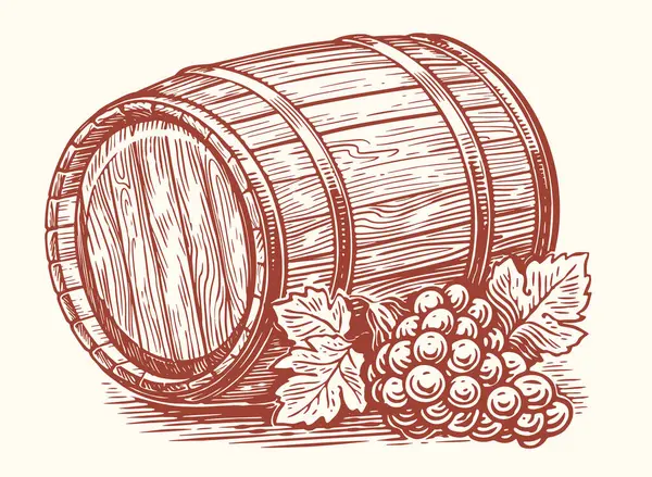 Old wooden barrel and ripe grapes with leaves. Oak cask of alcoholic drink wine. Sketch vector illustration
