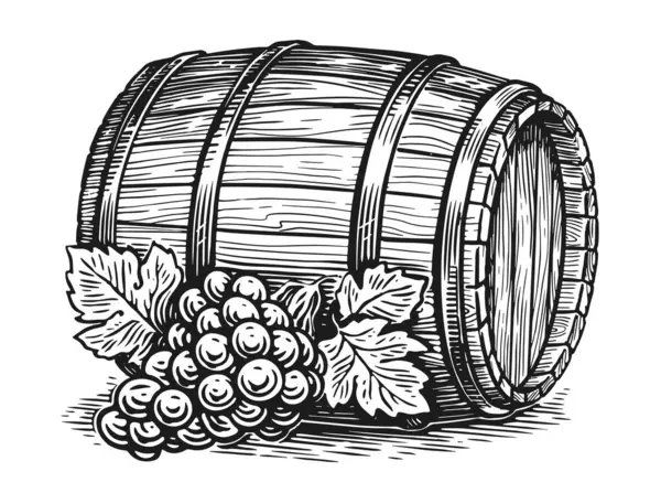 Grape Old Wooden Barrel Oak Cask Sketch Hand Drawing Vintage — Stock Photo, Image