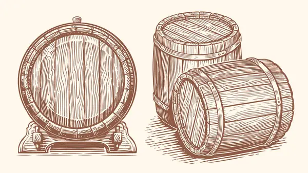 Oak Barrel Hand Drawn Vector Illustration Wooden Cask Sketch Drawing — Stock Vector