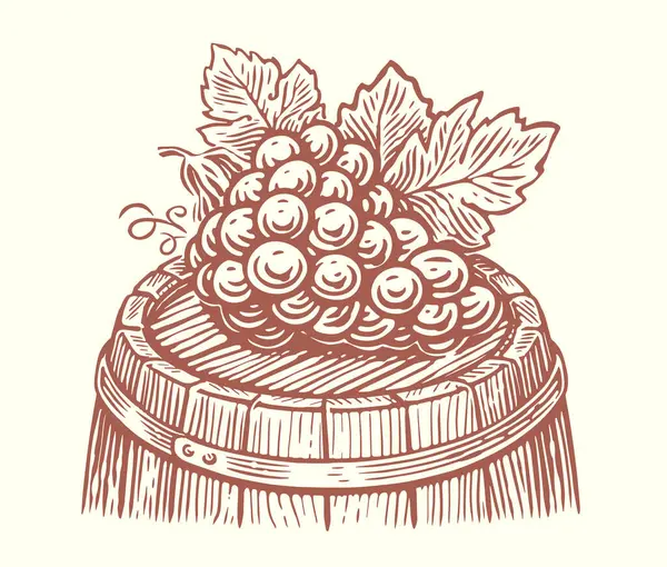 木製の樽に葉が付いているブドウのバンチ ワイン ワイナリースケッチヴィンテージベクターイラスト — ストックベクタ