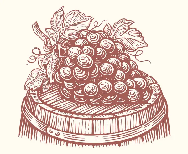 熟したブドウのバンチはワインと木製の樽の上にあります ヴィニヤード ワイナリースケッチベクターイラスト — ストックベクタ