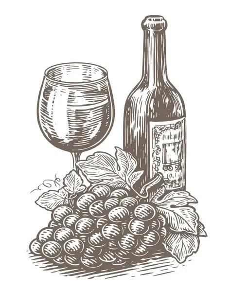 Bottiglia Vino Bicchiere Grappolo Uva Cantina Bozzetto Del Vigneto Illustrazione — Vettoriale Stock