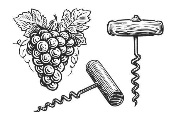 Tire Bouchon Vin Dessiné Main Style Gravure Illustration Vectorielle Croquis — Image vectorielle