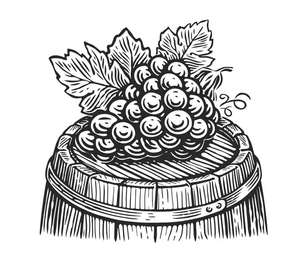 Grapes Barrel Sketch Drawing Vintage Engraving Style — Stock Photo, Image