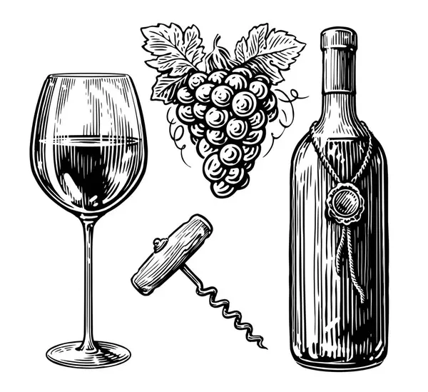 Flaska Glas Med Vindryck Korkskruv Och Druvor Vinkoncept Teckningssats För — Stockfoto