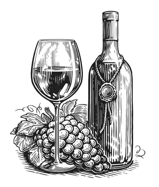 Von Hand Gezogene Flasche Glas Wein Und Trauben Schwarz Weiß — Stockfoto
