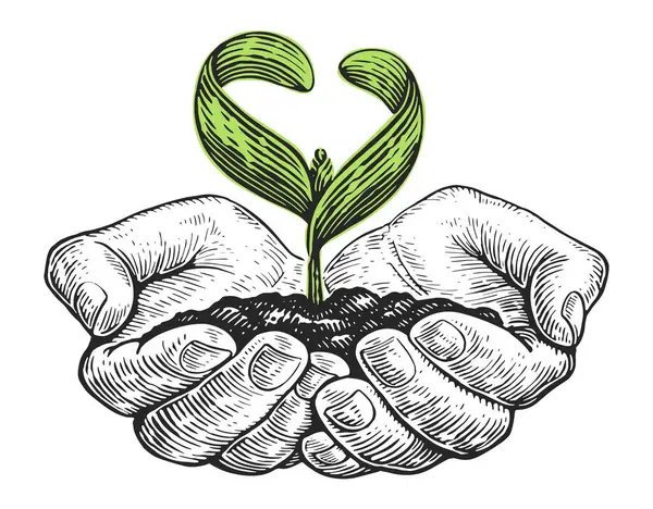 Hands Plant Seedlings Soil Earth Day Ecology Concept Protection Nature — Vector de stock