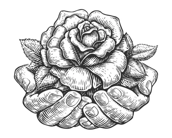 Rose Bud Leaves Hand Hands Palms Holding Flower Hand Drawn — Vector de stoc
