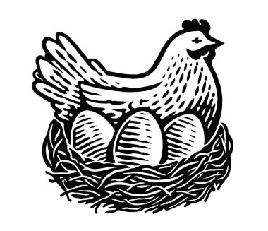 Çiftlik kümes hayvanları. Tavuk yuvaya yumurta bırakıyor. Tavuk sembolü veya amblemi, vektör illüstrasyonu