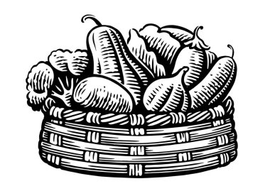 Hasır sepette organik sebzeler. Çiftlik vejetaryeni yemeği. İşleme biçimi vektör illüstrasyonunda el çizimi