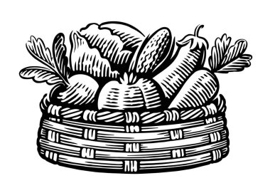 Sebzeli sepet. Çiftlik organik sağlıklı yiyecekler. İşleme biçimi vektör illüstrasyonunda el çizimi