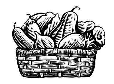 Sepette taze sebzeler. Organik yiyecekler. El çizimi çizimi vektör illüstrasyonu