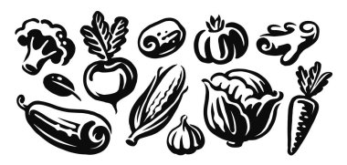 Çiftlik sebzeleri, siyah beyaz çizimler. Organik sağlıklı gıda konsepti. Vektör illüstrasyonu