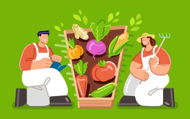 Bahçıvanlık ve bitki yetiştirme konsepti. Çiftlik işçileri organik sağlıklı yiyecekler yetiştiriyor. Çiftçiler sebze bahçesinde çalışıyor.