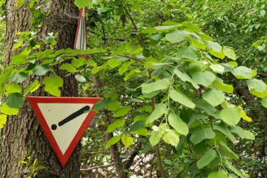 Traffic signs attention stop on road hanging from green tree with leaves in park as urban and nature concept