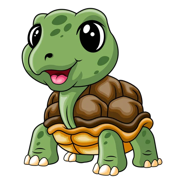 Niedliche Baby Schildkröte Ein Lächeln — Stockvektor