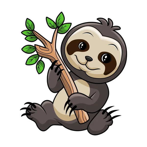 Cute Baby Sloth Tree Branch — Stock Vector