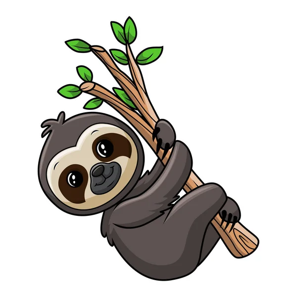 Cute Baby Sloth Tree Branch — Stock Vector
