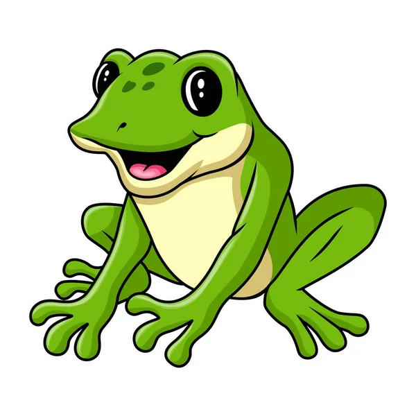 Cute Cartoon Frog Sitting — Stock Vector