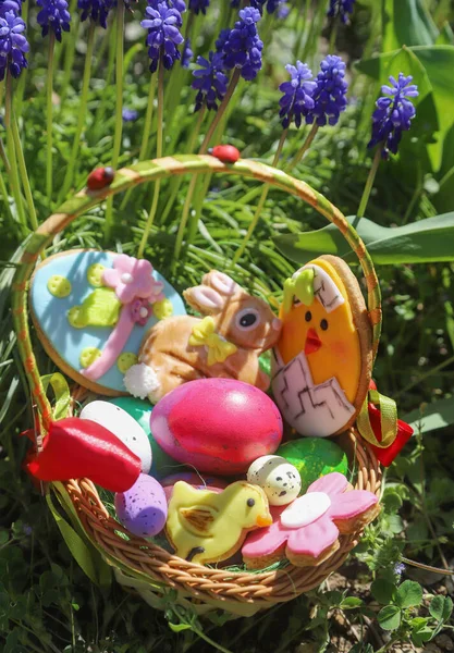Easter Concept Colored Eggs Beautiful Spring Garden Full Flowers Outdoor — Stock Photo, Image