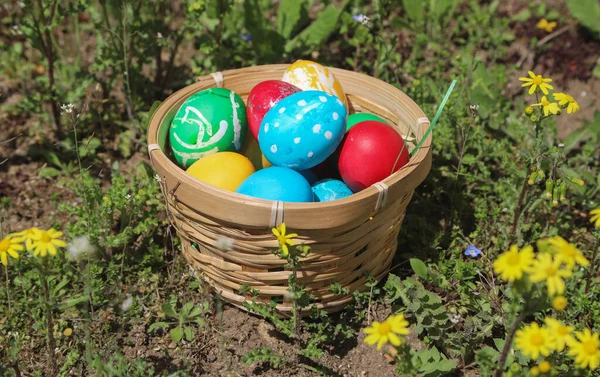 Koncepcja Wielkanoc Kolorowymi Jajkami Pięknym Wiosennym Ogrodzie Pełnym Kwiatów Zdjęcie — Zdjęcie stockowe