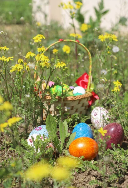 Concept Pâques Avec Œufs Colorés Dans Beau Jardin Printemps Plein — Photo