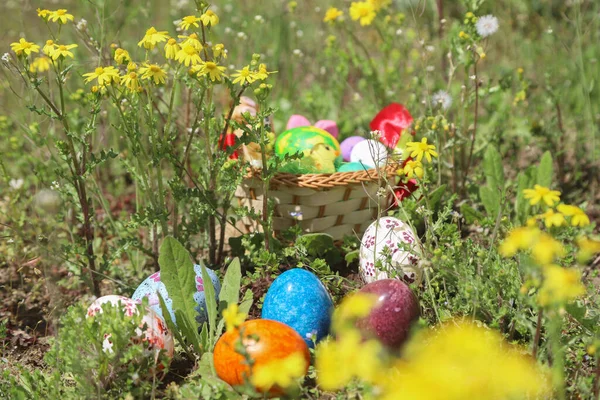 花でいっぱいの美しい春の庭で色の卵とイースターの概念 屋外のショット — ストック写真