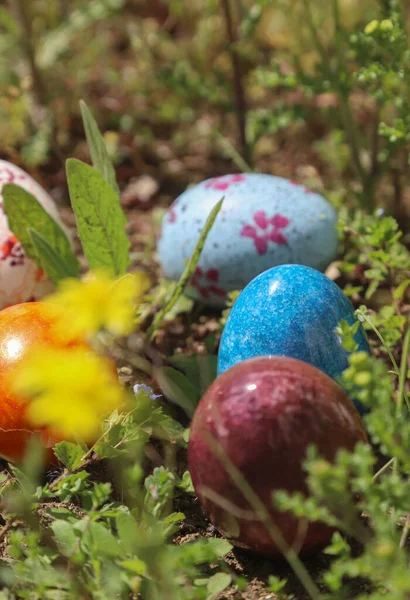 Conceito Páscoa Com Ovos Coloridos Belo Jardim Primavera Cheio Flores — Fotografia de Stock
