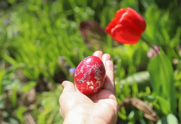 Conceito Páscoa Com Uma Mão Segurando Ovo Vermelho Tiro Livre — Fotografia de Stock