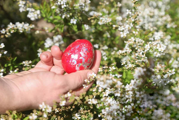 Easter Concept Hand Holding Red Egg Outdoor Shot Spring Garden — Stock Photo, Image