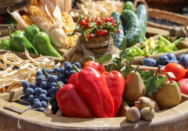 Bir sürü mevsimlik taze meyve sergilenen sonbahar konsepti, açık hava çekimi.