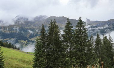 İsviçre Alplerinden çarpıcı manzara resmi, genel görünüm