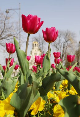 Bulgaristan 'ın başkenti Sofya' daki St. Alexander Nevsky Ataerkil Katedrali genel görünüm