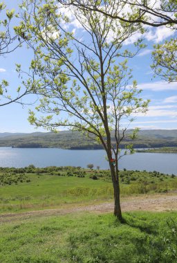 Bulgaristan 'daki Pchelina Barajı' nın resimli bahar manzarası