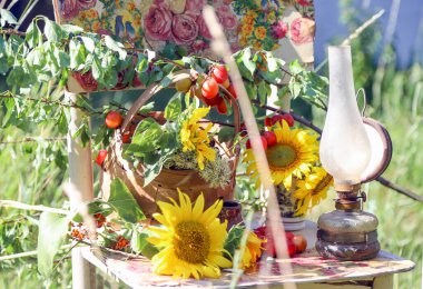 Kırsal konsept, eski bir klasik sandalye, bir sürü kır çiçeği ve güzel bir yaz bahçesinde çekilmiş bir buket ayçiçeği.