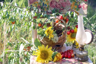 Kırsal konsept, eski bir klasik sandalye, bir sürü kır çiçeği ve güzel bir yaz bahçesinde çekilmiş bir buket ayçiçeği.