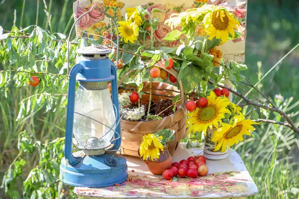 Kırsal konsept, eski bir klasik sandalye, bir sürü kır çiçeği ve güzel bir yaz bahçesinde çekilmiş bir buket ayçiçeği.