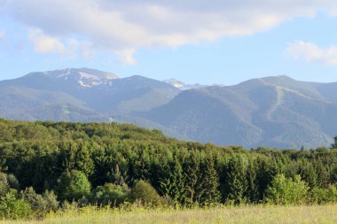Göz kamaştırıcı yaz manzarası yüksek dağlarda yeşil çimenler ve sık bir orman.