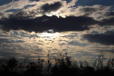 Picture of a dramatic sunset in the fields with dark fluffy clouds clipart