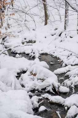 Güzel, sık bir ormanda, karlı bir kış. Dağların tepesinde, gündüz vakti.