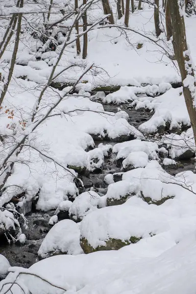 Güzel, sık bir ormanda, karlı bir kış. Dağların tepesinde, gündüz vakti.