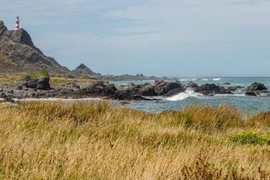 Yeni Zelanda 'nın güney adasının vahşi kıyıları. Kayalar, çimenler ve okyanus. Körfezin üstündeki deniz feneri.. 
