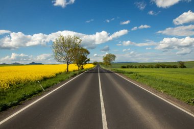İki tarla arasında ufka giden bir yol. Biri sarı, kolza tohumlu, diğeri yeşil, ekili. Mavi gökyüzü ve birkaç beyaz bulutla harika bir sözleşme. Taze bahar atmosferi.