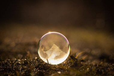 Soğuk bahar gündoğumu sırasında çimlerin üzerinde duran donmuş baloncuk. Güneş ışığı yansıtan bir baloncuğun üzerindeki şaşırtıcı desen.