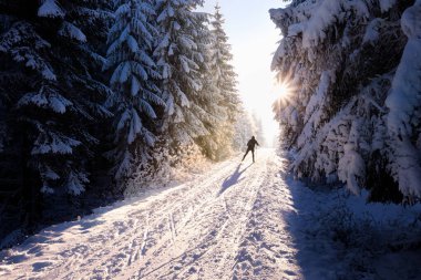 Karda kış ormanı ve doğa arka planında bir kayakçı