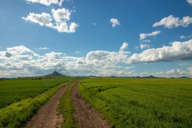 Taze yeşil tarlalar arasında giden bir yol. Arka planda harabe olan bir tepe..